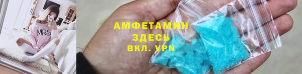 индика Волоколамск