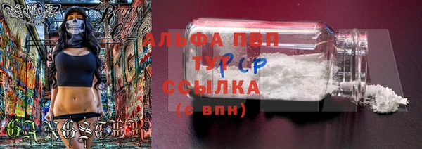 индика Волоколамск