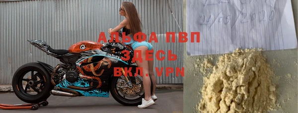 индика Волоколамск