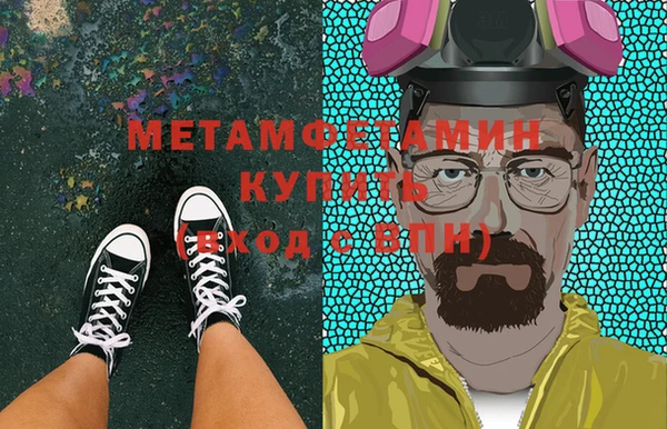 индика Волоколамск