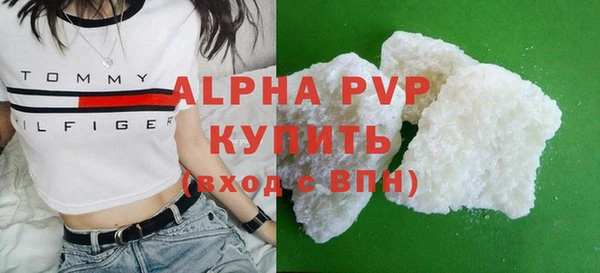 индика Волоколамск